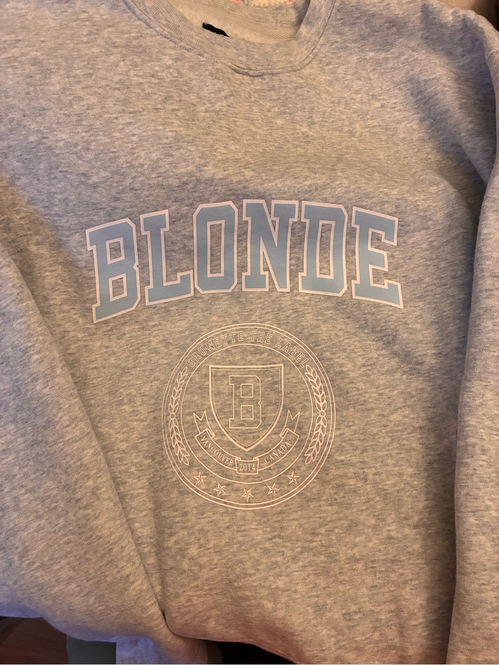 Crewneck Sweatshirt - Light Gray Brunette the Label
